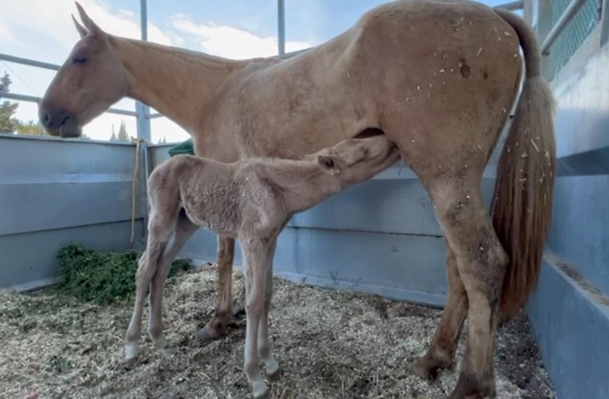 Neue Videos von der schönen INDIA und ihrer Tochter MIREIA PERIS